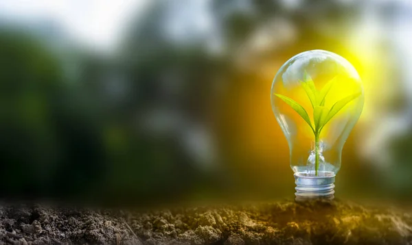 El cambio climático es uno de los mayores desafíos globales