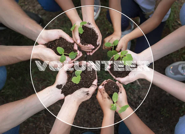 Voluntariado juvenil que genera impacto social positivo