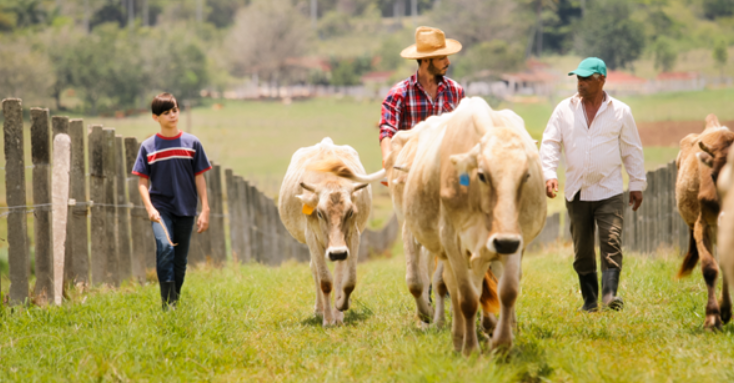 El potencial del agroturismo en fincas familiares guatemaltecas