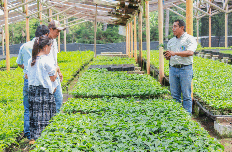 El papel del cooperativismo en el desarrollo económico guatemalteco