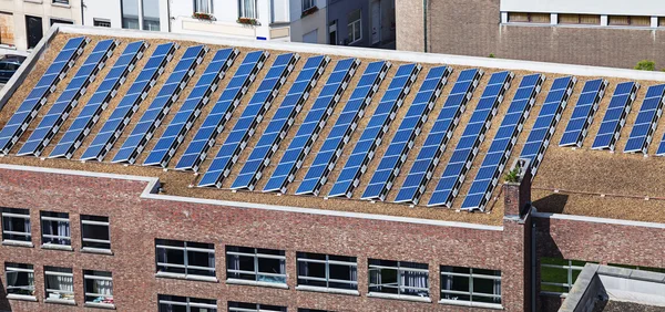 Energías renovables el futuro sustentable de Guatemala