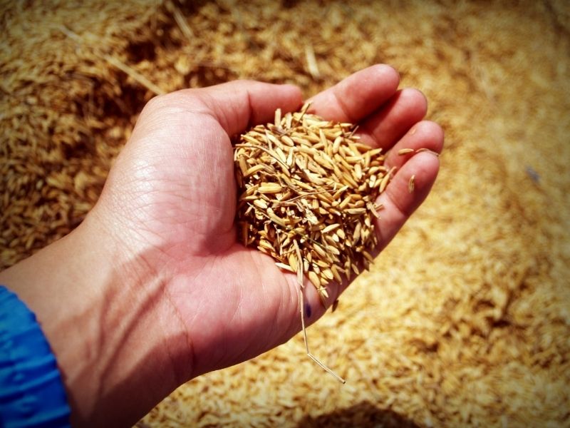 Inventario y clasificación: separación, identificación y caracterización de los diferentes flujos