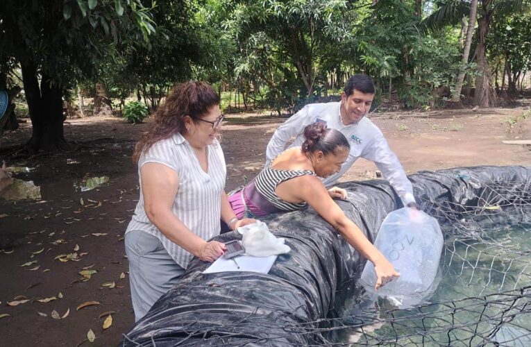 Acuicultura sostenible en guatemala: riesgos y oportunidades